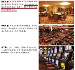 澳门三肖三码三期必开凤凰网|探索新兴趋势与精彩故事_进修版.5.835