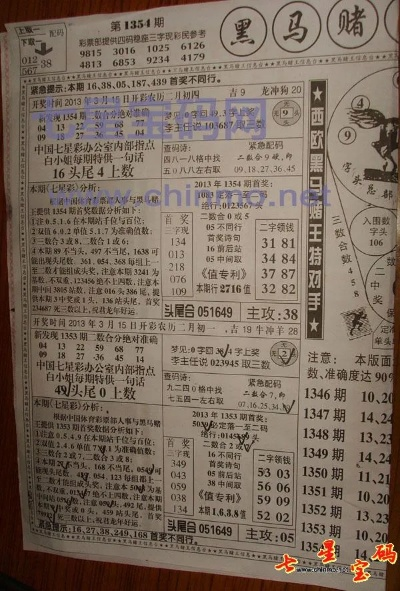 最新精准香港内部马料|专业研究解释落实_探险款.1.803